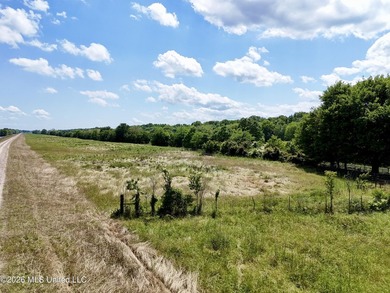 168+/- acres of pastureland just outside Vicksburg offering a - photo 4