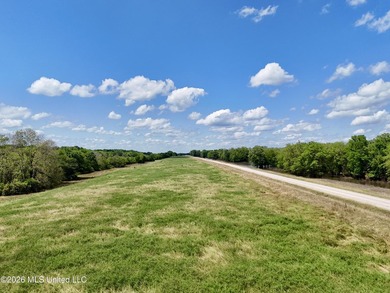 168+/- acres of pastureland just outside Vicksburg offering a - photo 5
