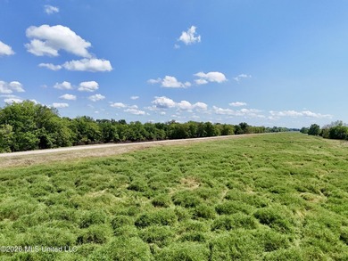 168+/- acres of pastureland just outside Vicksburg offering a - photo 6