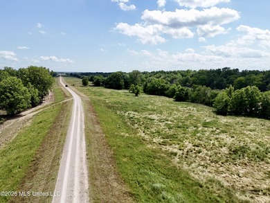 168+/- acres of pastureland just outside Vicksburg offering a - photo 7