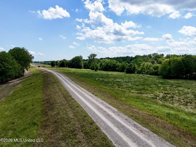 168+/- acres of pastureland just outside Vicksburg offering a - photo 9