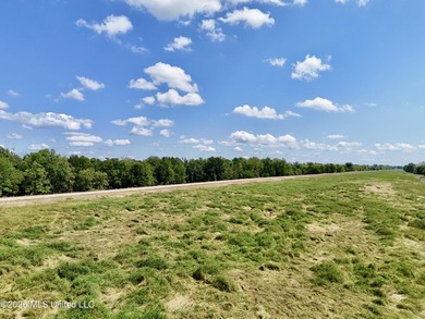 168+/- acres of pastureland just outside Vicksburg offering a - photo 10