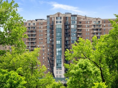 Gorgeous views of the city skyline and Mississippi riverfront - photo 27
