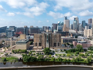 Gorgeous views of the city skyline and Mississippi riverfront - photo 46