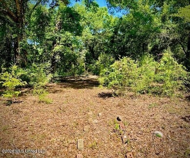 Looking for land in all the wrong places? Here's a piece of - photo 2