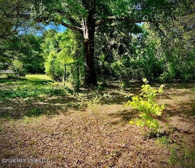 Looking for land in all the wrong places? Here's a piece of - photo 3