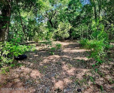 Looking for land in all the wrong places? Here's a piece of - photo 5