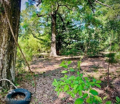 Looking for land in all the wrong places? Here's a piece of - photo 6