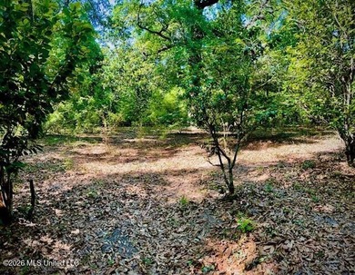 Looking for land in all the wrong places? Here's a piece of - photo 7
