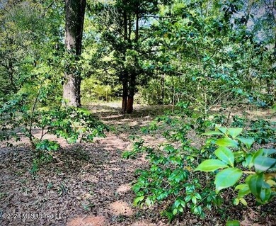 Looking for land in all the wrong places? Here's a piece of - photo 9