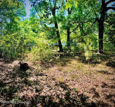 Looking for land in all the wrong places? Here's a piece of - photo 10