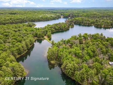 Lake Acreage For Sale in Curran, Michigan