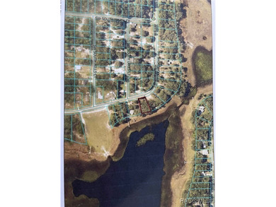 Lake Lot For Sale in Dunnellon, Florida