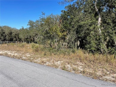 AWESOME WATER LAKE-FRONT PROPERTY ON A LITTLE MORE THAN A 1/3 OF - photo 2