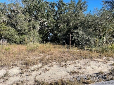 AWESOME WATER LAKE-FRONT PROPERTY ON A LITTLE MORE THAN A 1/3 OF - photo 3