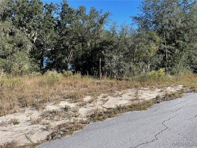 AWESOME WATER LAKE-FRONT PROPERTY ON A LITTLE MORE THAN A 1/3 OF - photo 4