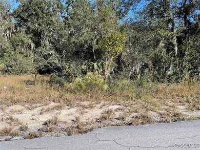 AWESOME WATER LAKE-FRONT PROPERTY ON A LITTLE MORE THAN A 1/3 OF - photo 5