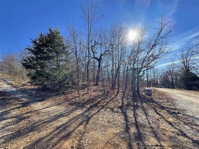 (private lake, pond, creek) Lot For Sale in Vian Oklahoma