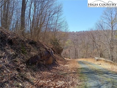 Lake Lot For Sale in Beech Mountain, North Carolina