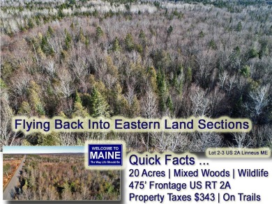 Lake Acreage For Sale in Linneus, Maine