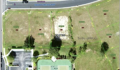 Lake Lot For Sale in Lake Alfred, Florida