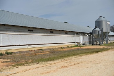 This turnkey modern Poultry Breeder Egg built in 2017 has - photo 11