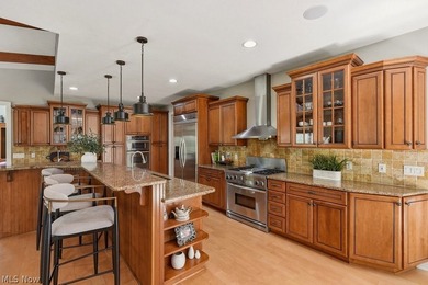 NEW PRICE! Nestled in Solon's premier golf course community - photo 18