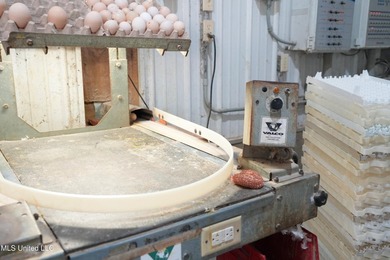 This turnkey modern Poultry Breeder Egg built in 2017 has - photo 22