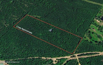 Tucked away off Hamilton Road in Prentiss, this beautiful 14 - photo 1
