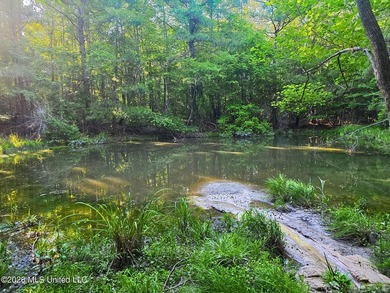 Tucked away off Hamilton Road in Prentiss, this beautiful 14 - photo 2