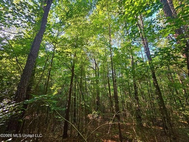 Tucked away off Hamilton Road in Prentiss, this beautiful 14 - photo 5