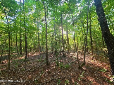 Tucked away off Hamilton Road in Prentiss, this beautiful 14 - photo 6