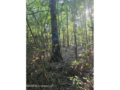 Tucked away off Hamilton Road in Prentiss, this beautiful 14 - photo 7