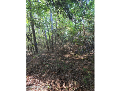 Tucked away off Hamilton Road in Prentiss, this beautiful 14 - photo 8