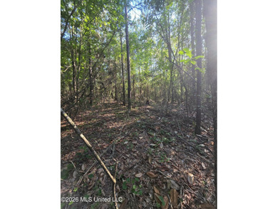Tucked away off Hamilton Road in Prentiss, this beautiful 14 - photo 9