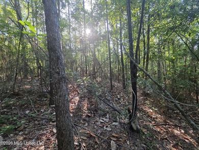 Tucked away off Hamilton Road in Prentiss, this beautiful 14 - photo 10