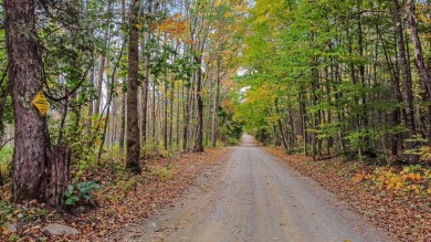 Lake Acreage Off Market in Newport, Maine