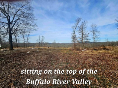 Buffalo River Acreage For Sale in Saint Joe Arkansas