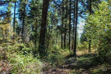 Lake Lot For Sale in Cascade, Idaho