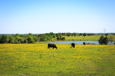 Lake Acreage For Sale in Chappell Hill, Texas