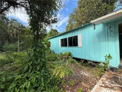 Homosassa River Home Sale Pending in Homosassa Florida