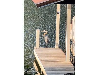 Live Where Every Day Feels Like a Vacation...Welcome to your own - photo 58