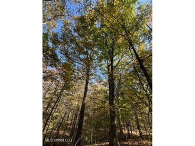 100 Acres of Hardwood & Pine Timber - Recreational Tract Near - photo 2