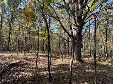 100 Acres of Hardwood & Pine Timber - Recreational Tract Near - photo 3