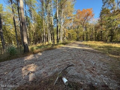 100 Acres of Hardwood & Pine Timber - Recreational Tract Near - photo 5