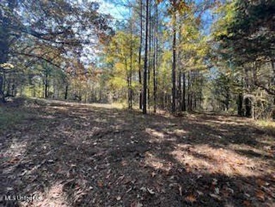 100 Acres of Hardwood & Pine Timber - Recreational Tract Near - photo 9