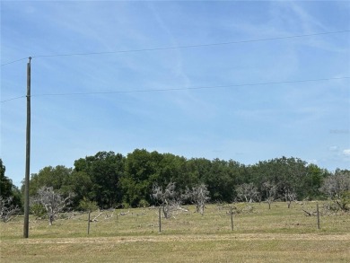 Right at 23 Acres (22.93 Acres) of Prime Land - in one of the - photo 20