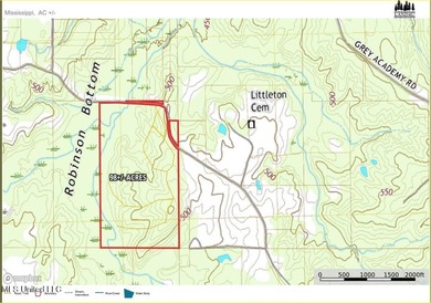 100 Acres of Hardwood & Pine Timber - Recreational Tract Near - photo 10
