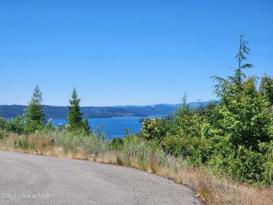 Coeur d Alene Lake Lot For Sale in Harrison Idaho