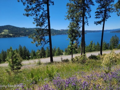 Lake Lot For Sale in Harrison, Idaho